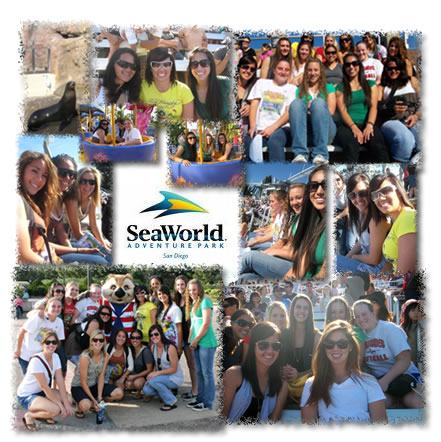 Celebrating at Seaworld